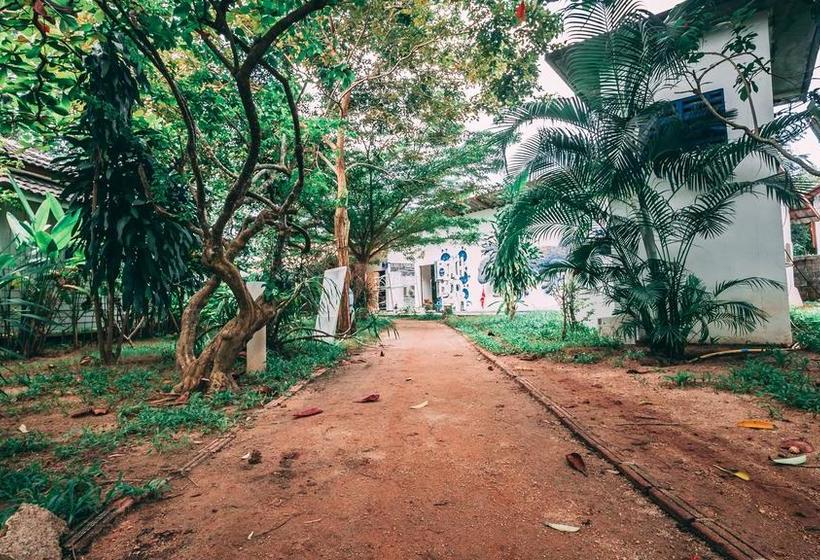 Dancing Elephant Beach Club   Hostel