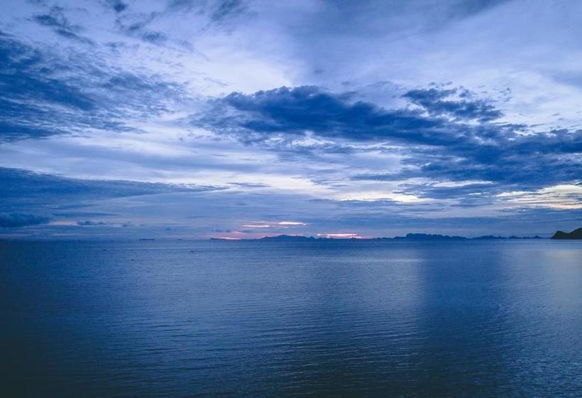 Dancing Elephant Beach Club   Hostel