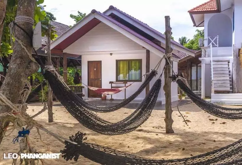 Dancing Elephant Beach Club   Hostel