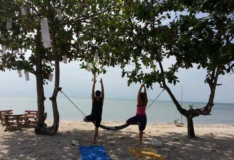 Dancing Elephant Beach Club   Hostel