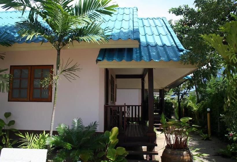 Dancing Elephant Beach Club   Hostel