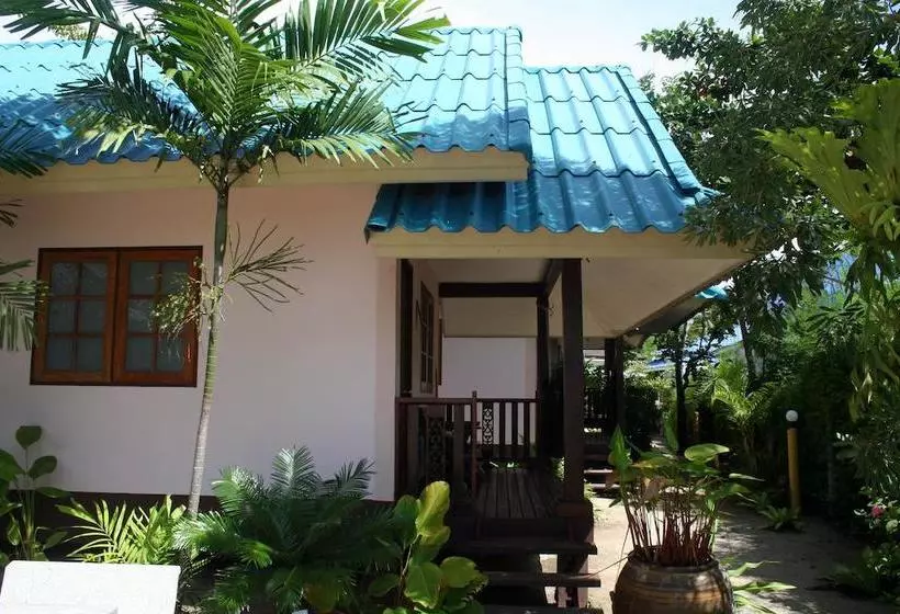 Dancing Elephant Beach Club   Hostel