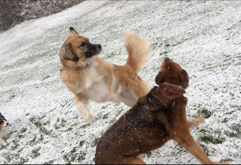 민박 Colonel Williams Inn