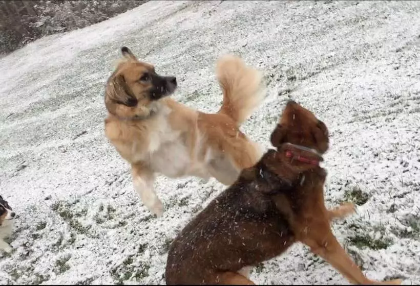 Aamiaismajoitus (B&B) Colonel Williams Inn