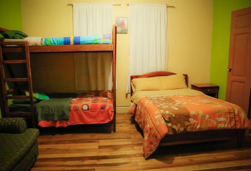 酒店 Blue House Youth Hostel