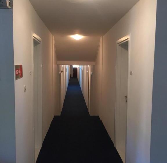 هتل International