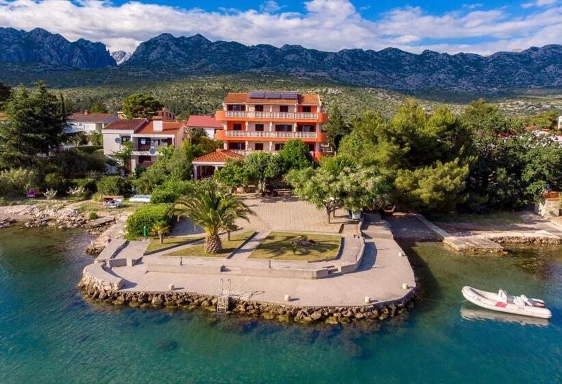 فندق Pansion Kiko