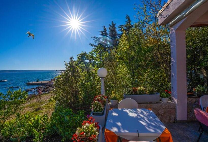 فندق Pansion Kiko