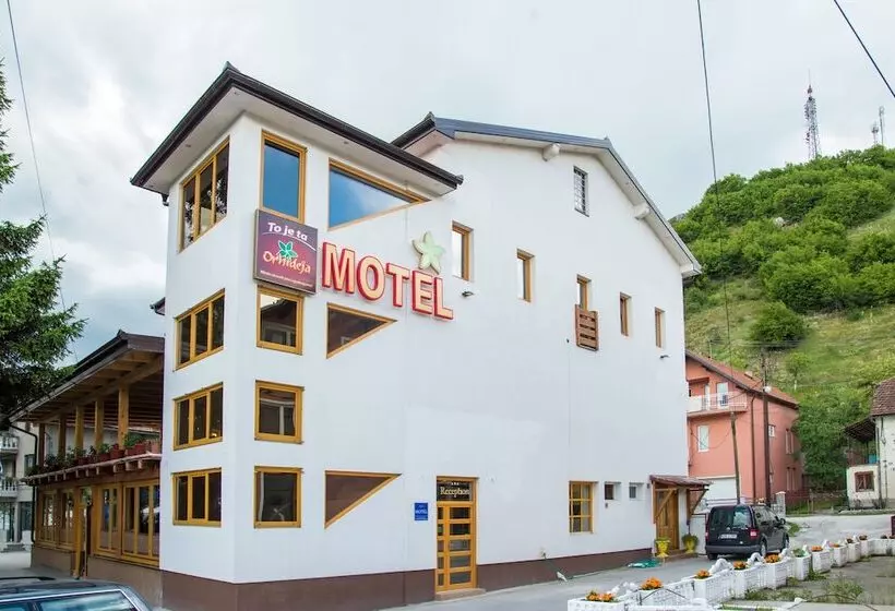 Motel Orhideja