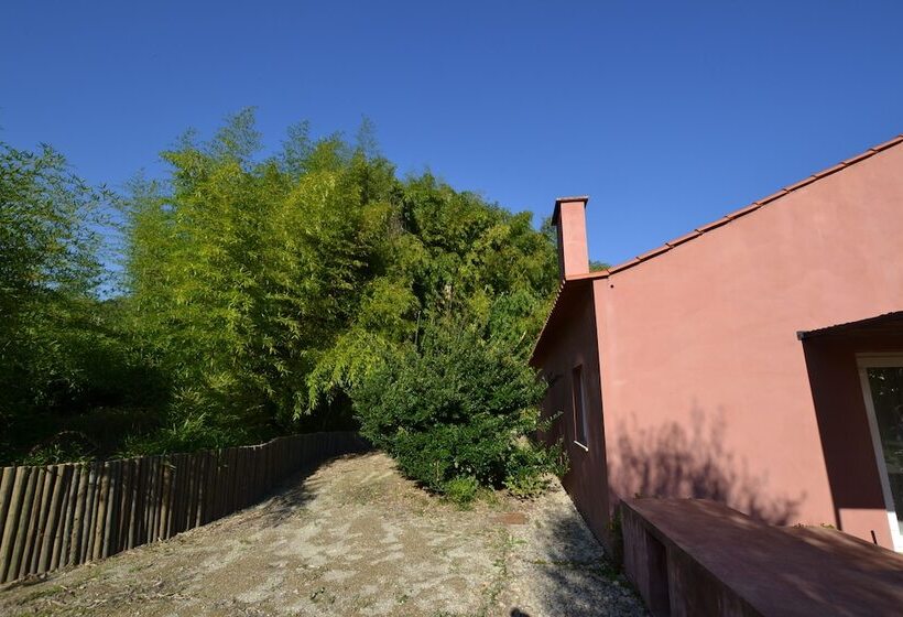 فندق Wine Tourism Quinta Do Ameal