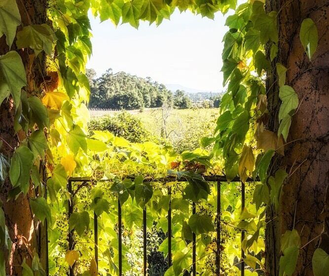 فندق Wine Tourism Quinta Do Ameal