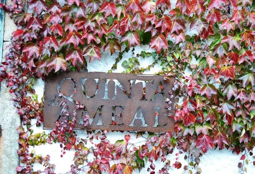 فندق Wine Tourism Quinta Do Ameal