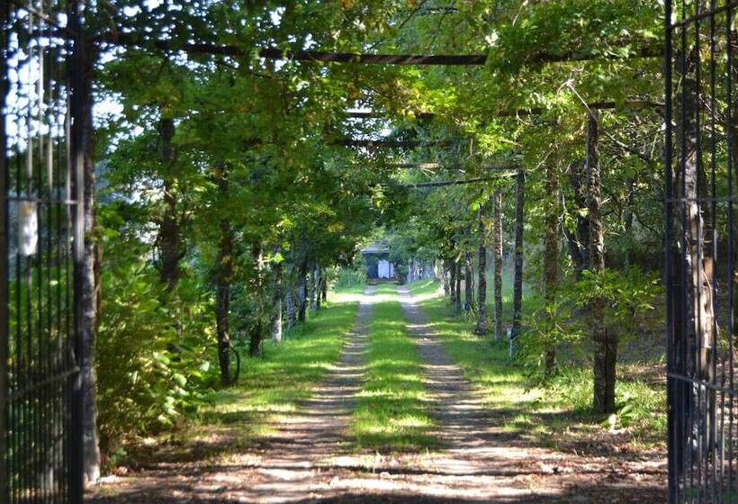 فندق Wine Tourism Quinta Do Ameal