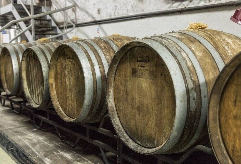 فندق Wine Tourism Quinta Do Ameal