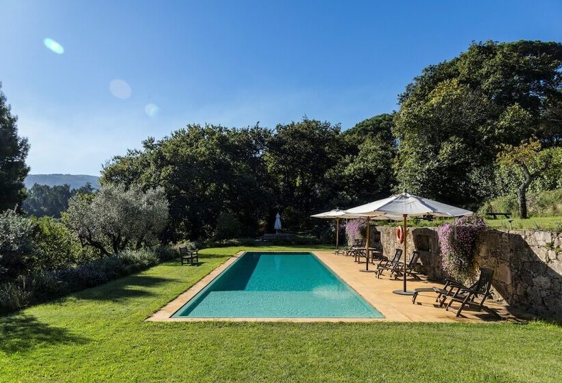 فندق Wine Tourism Quinta Do Ameal