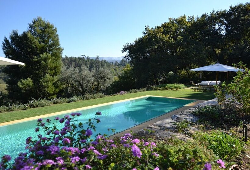 فندق Wine Tourism Quinta Do Ameal