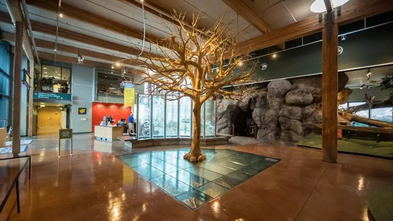 Sheraton Redding Hotel At The Sundial Bridge