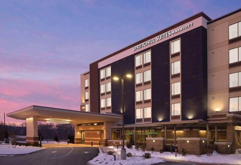 Szálloda Springhill Suites By Marriott Allentown Bethlehem/center Valley