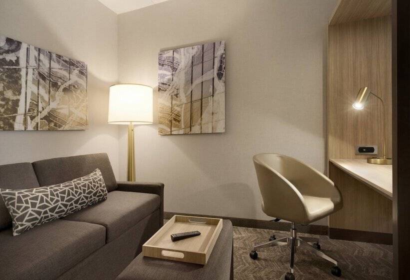 Szálloda Springhill Suites By Marriott Allentown Bethlehem/center Valley