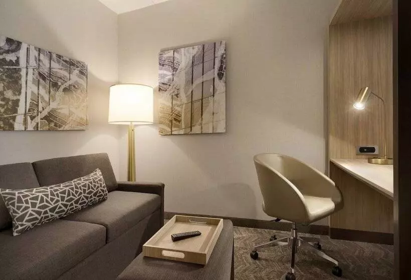 Hotelli Springhill Suites By Marriott Allentown Bethlehem/center Valley