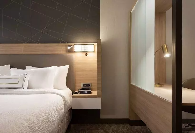 Hotelli Springhill Suites By Marriott Allentown Bethlehem/center Valley