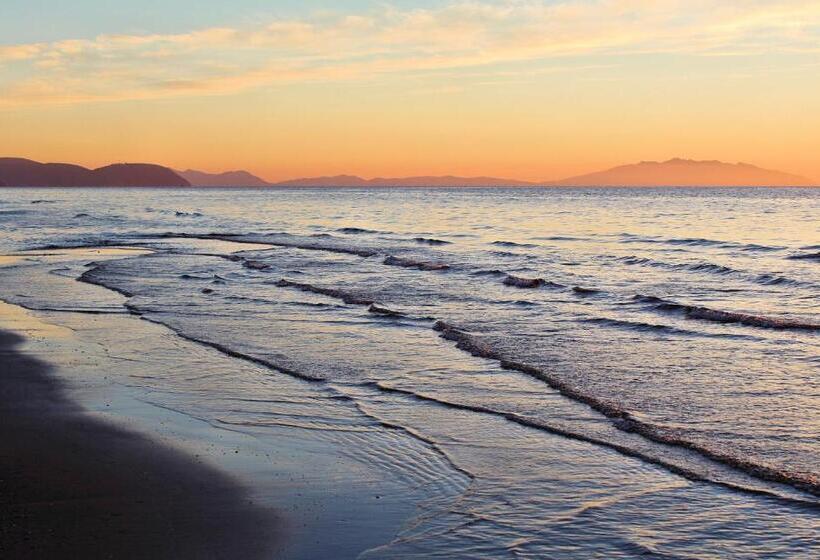 Le Dune Ground Floor Apartments Futura Cav