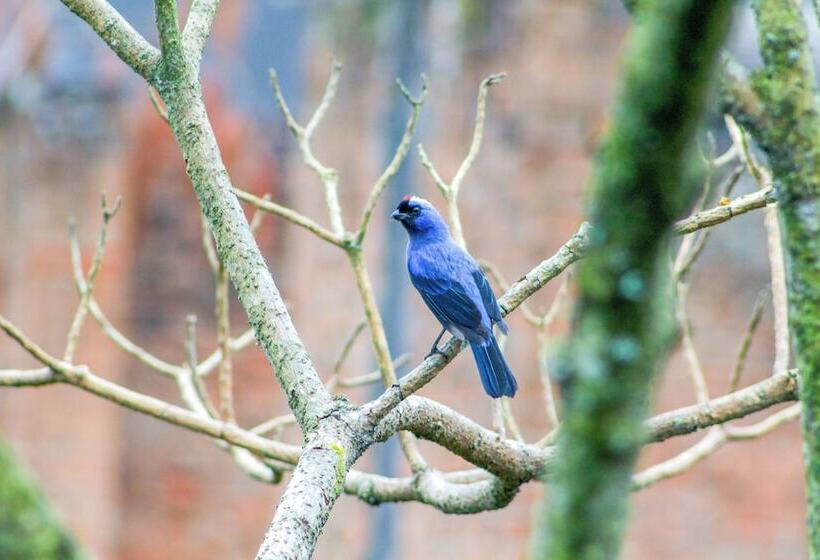 Velinn Hotel Ninho Do Falcão