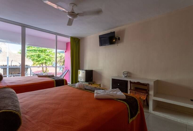 فندق Kay Adults Only