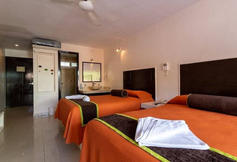 فندق Kay Adults Only