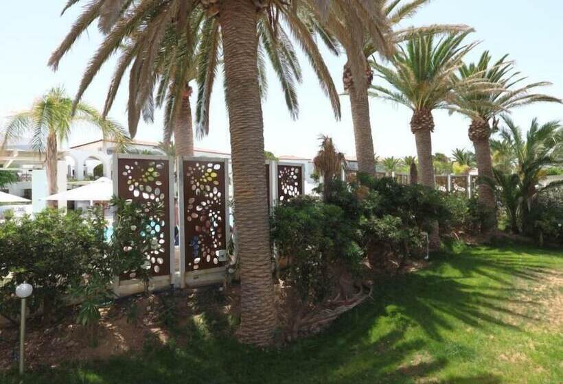 בית מלון כפרי Maravel Star Art