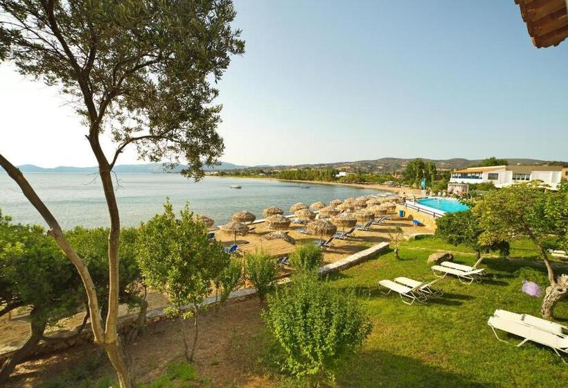 ホテル Venus Beach