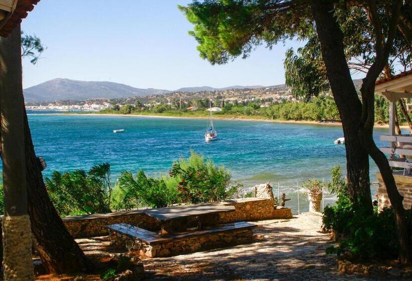 ホテル Venus Beach