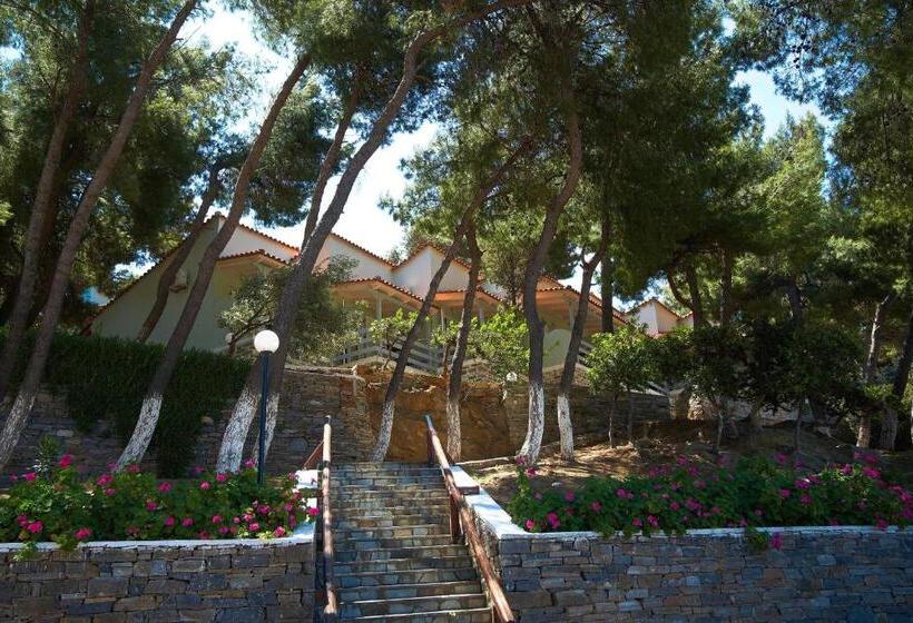 ホテル Venus Beach