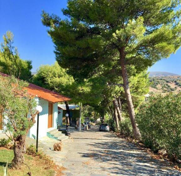 ホテル Venus Beach