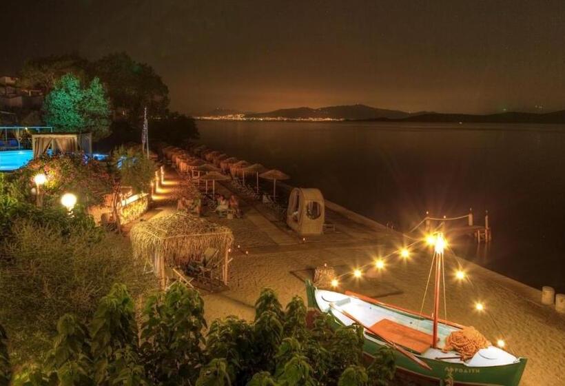 ホテル Venus Beach