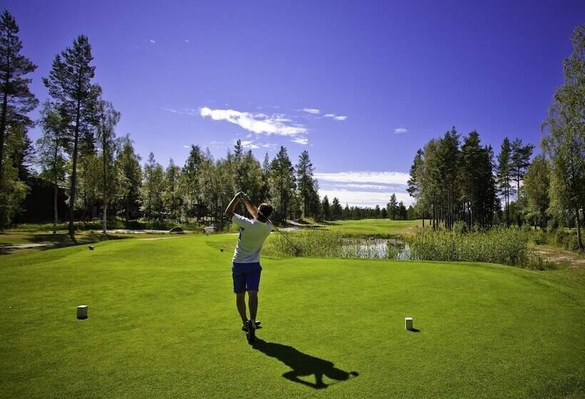 Sandy Kelt   Irish House Apartments