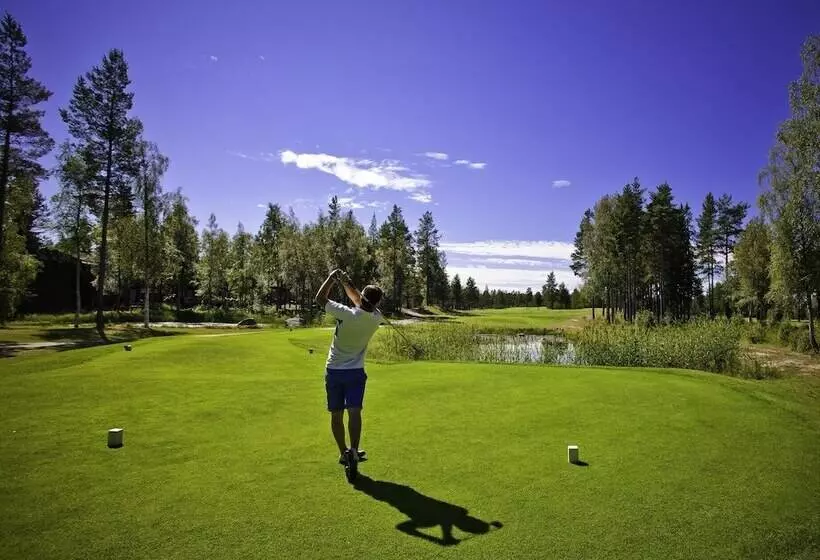 Sandy Kelt   Irish House Apartments