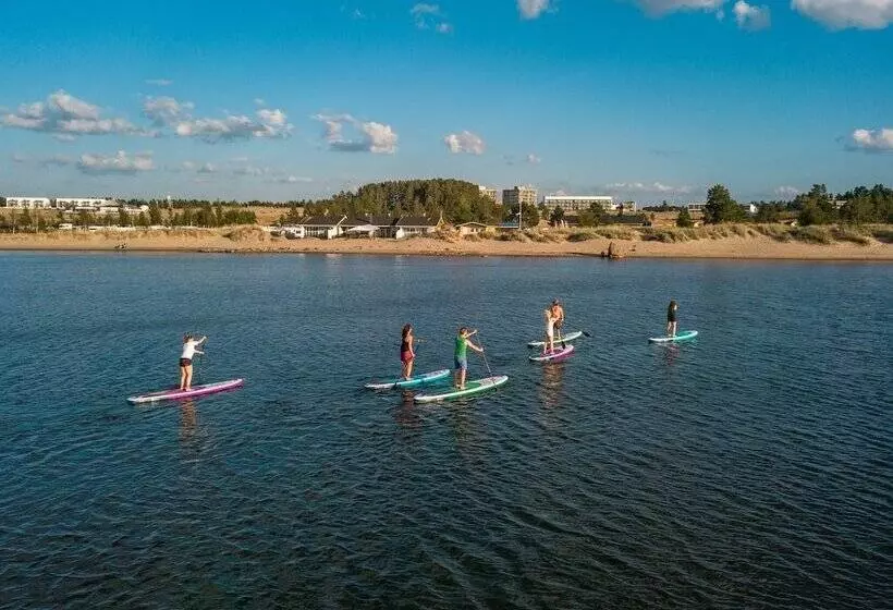 Sandy Kelt   Irish House Apartments