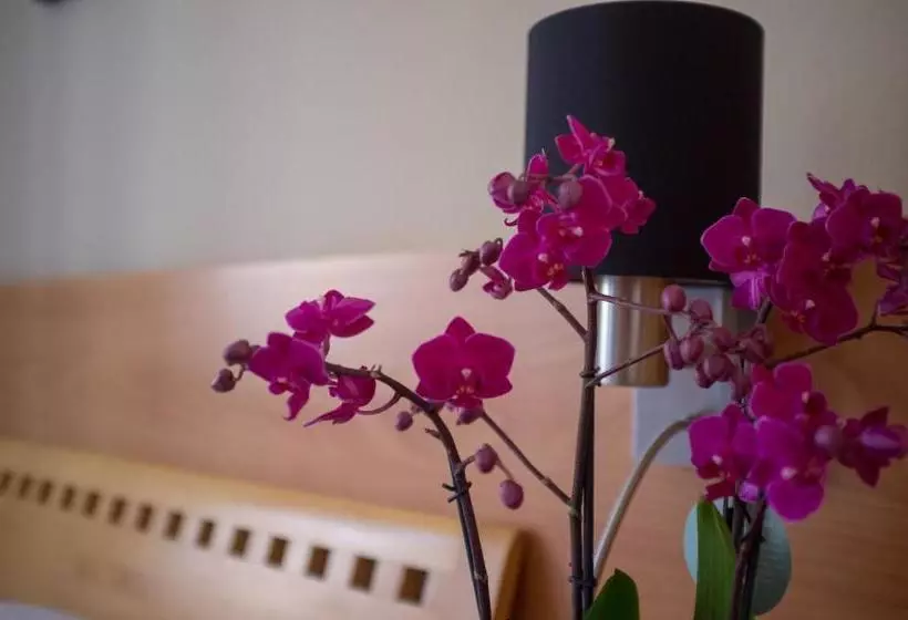 Majatalo U Salzmannů