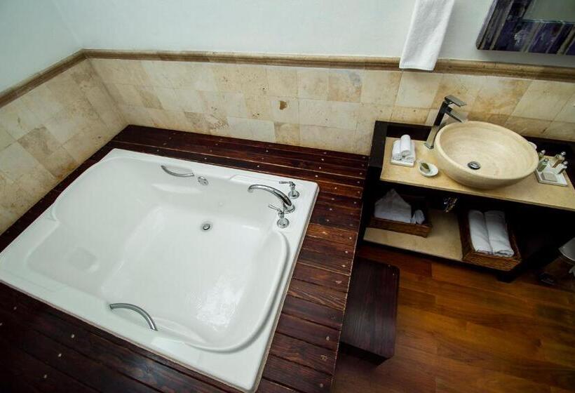 هتل Boutique Hacienda Guadalupe