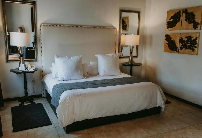 هتل Boutique Hacienda Guadalupe