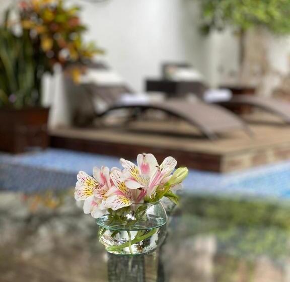 هتل Boutique Hacienda Guadalupe