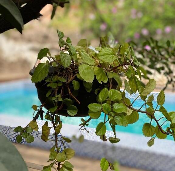 هتل Boutique Hacienda Guadalupe