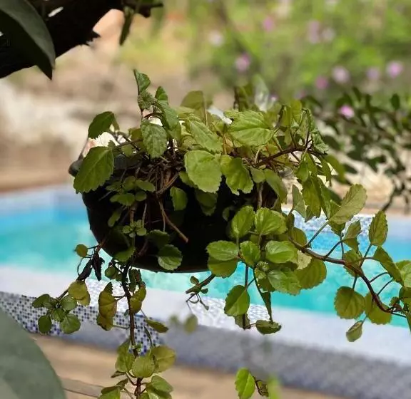 Hotelli Boutique Hacienda Guadalupe