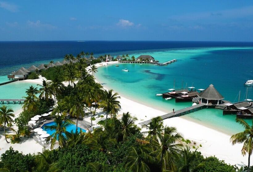 هتل Safari Island