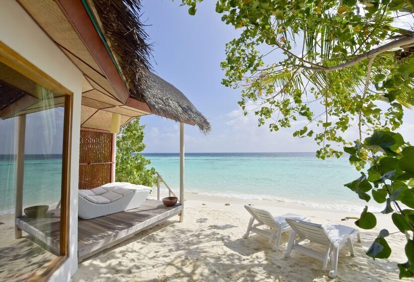 هتل Safari Island