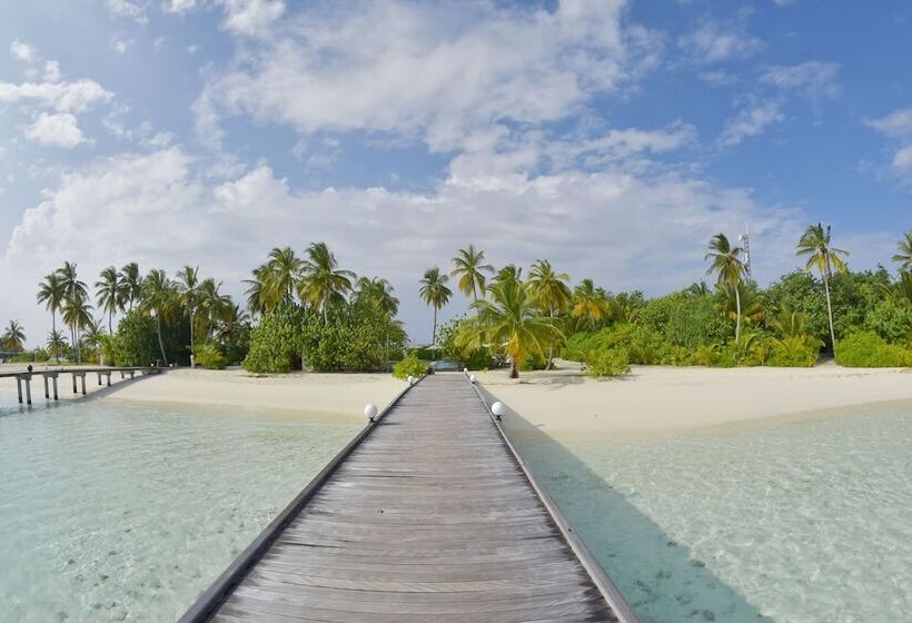 هتل Safari Island