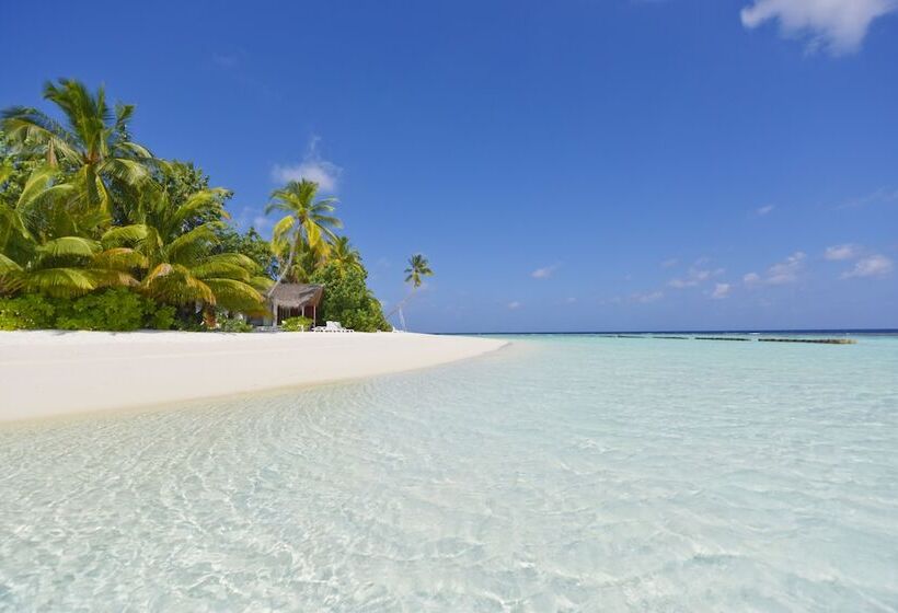 هتل Safari Island