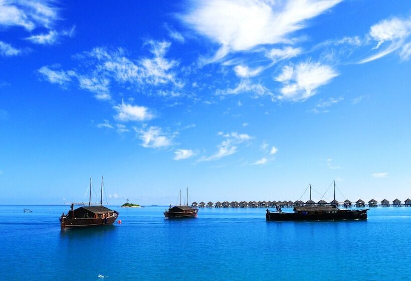 هتل Safari Island