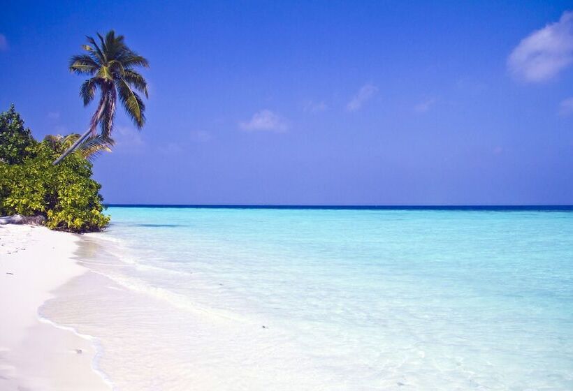 هتل Safari Island